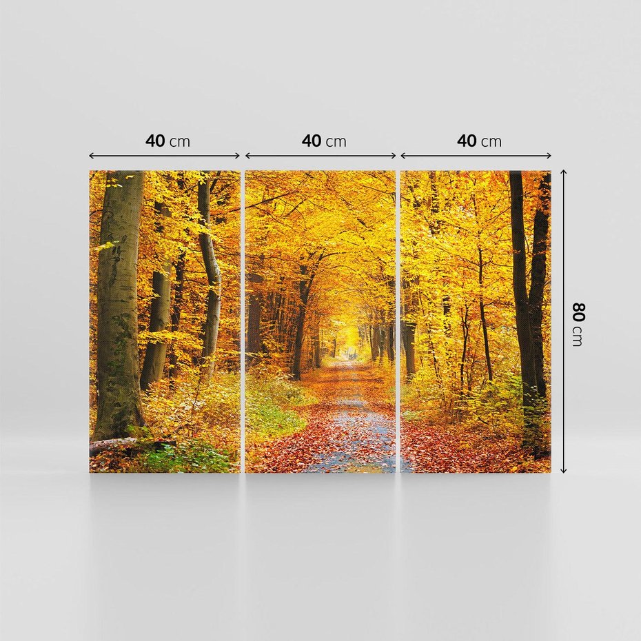 Obraz na płótnie 120x80 - Jesień w lesie - las, drzewa