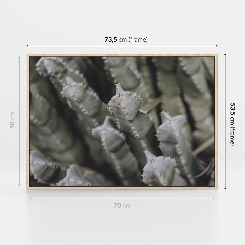 Obraz w ramie 70x50 - Boho kaktusy na pustyni - kaktusy, pustynia - rama drewno