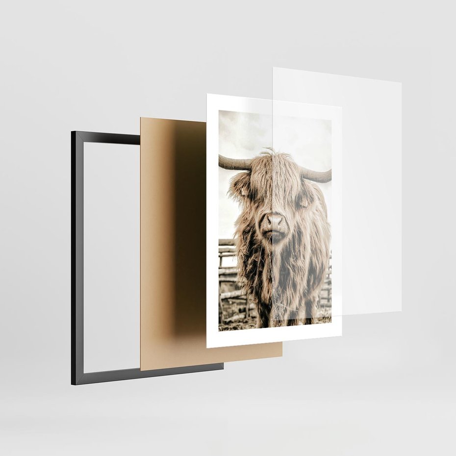 Plakat w ramie 30x40 - Klimat Wiejskiego Życia - amerykańska krowa, byk - rama czarna