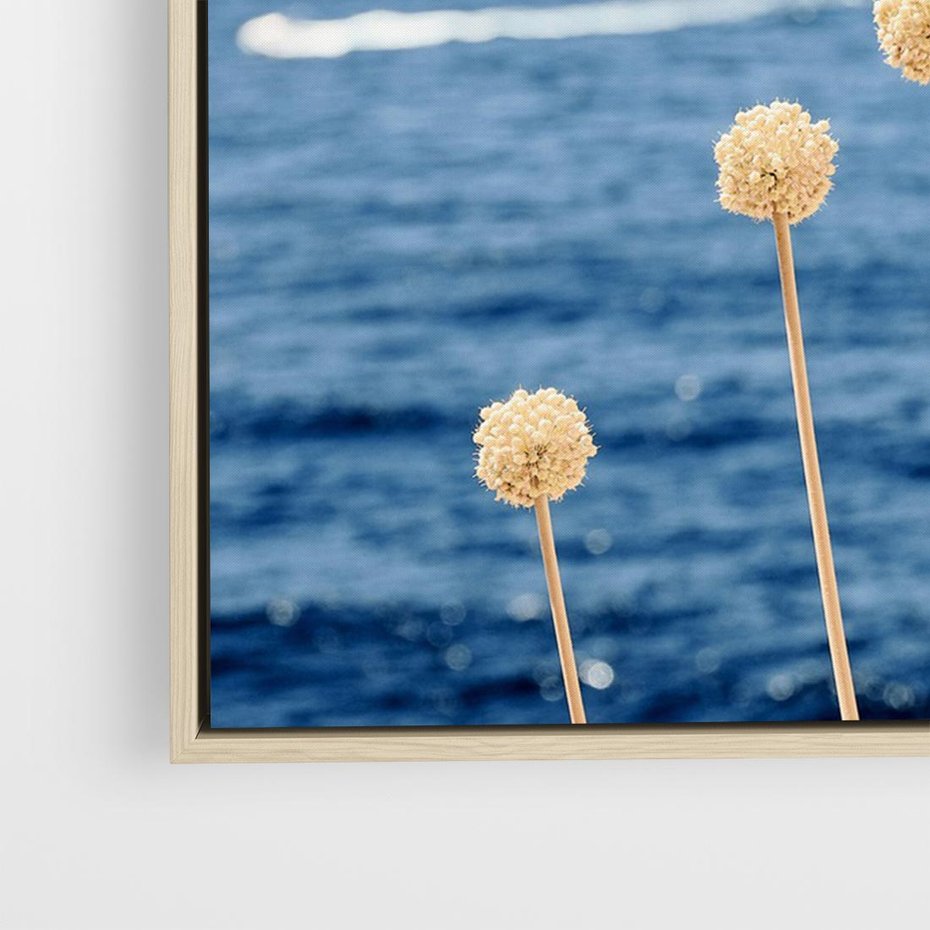 Obraz w ramie 120x80 - Kontrasty Natury - fotografia, pierwszy plan sucha roślinność - rama drewno