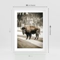 Plakat w ramie 30x40 - Spotkanie z Żubrem na Leśnej Drodze - żubr, las - rama biała
