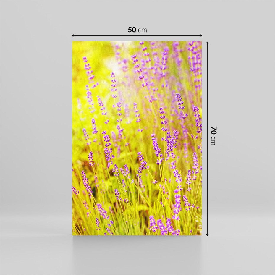 Obraz na płótnie 50x70 - Delikatność natury - lawenda, kwiaty