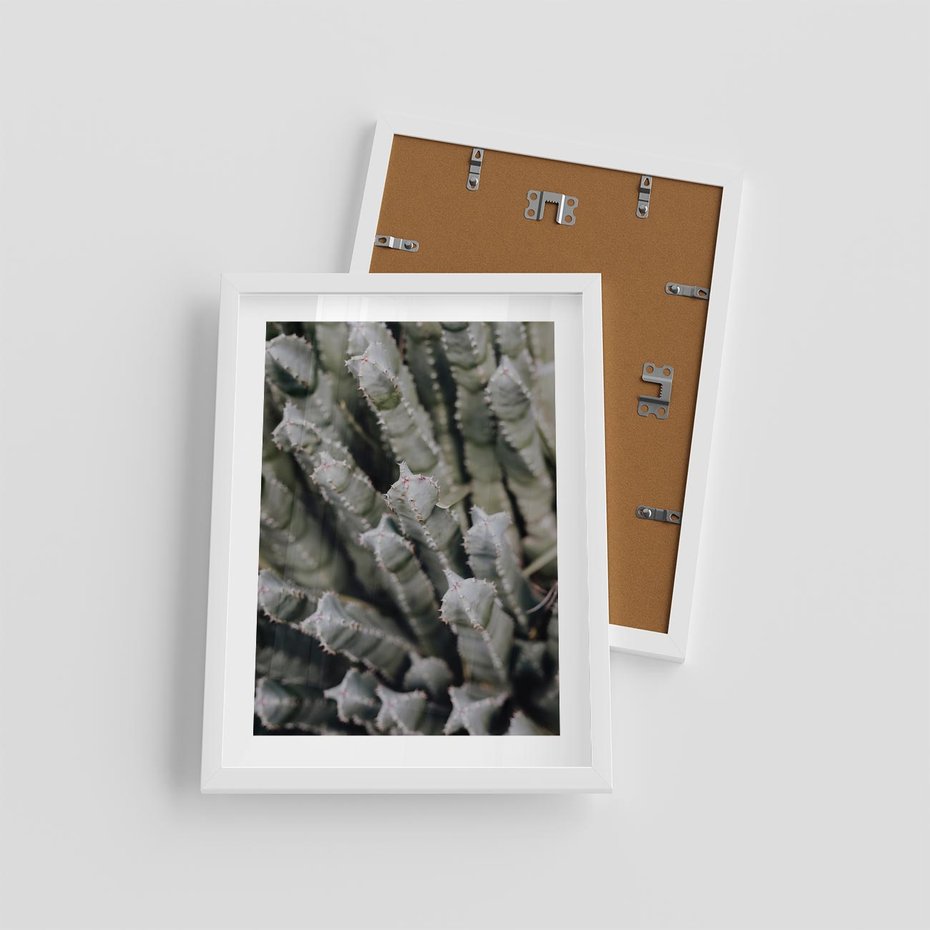 Plakat w ramie 30x40 - Boho kaktusy na pustyni - kaktusy, pustynia - rama biała