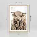 Plakat w ramie 50x70 - Klimat Wiejskiego Życia - amerykańska krowa, byk - rama drewno