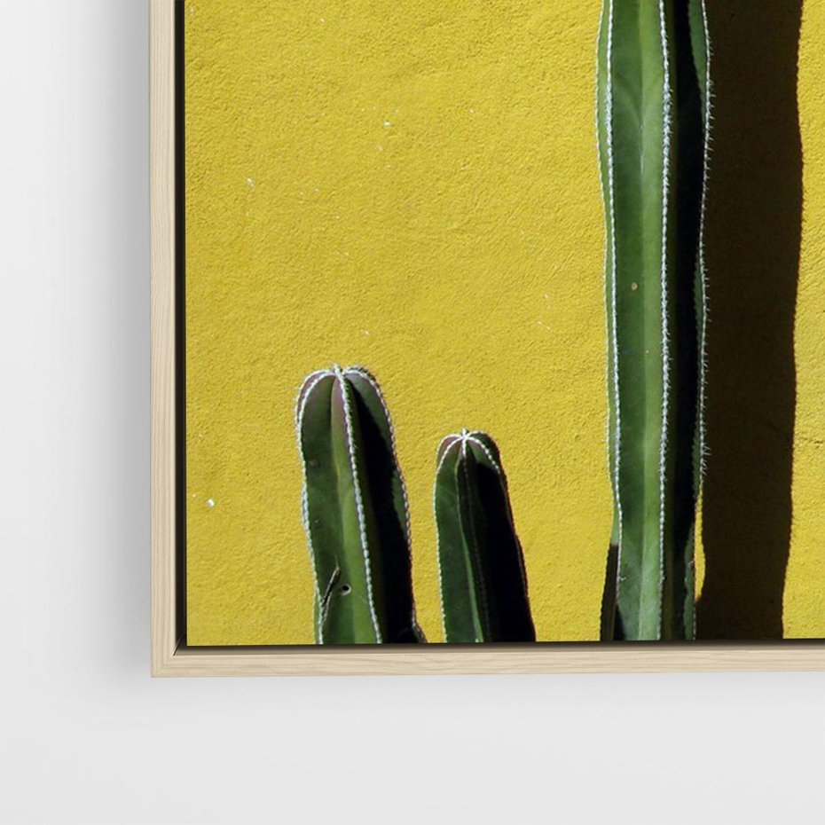 Obraz w ramie 70x50 - Refleksje w roślinnym odbiciu - zielone kaktusy na tle żółtej ściany, soczyste kolory - rama drewno