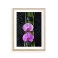 Plakat w ramie 30x40 - Japońskie Spa w Otoczeniu Storczyków - storczyk, spa - rama drewno