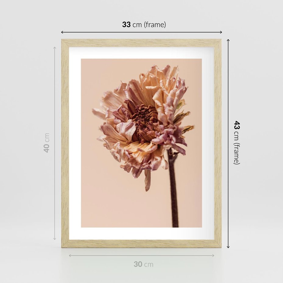 Plakat w ramie 30x40 - Delikatne piękno - suche, kwiaty - rama drewno
