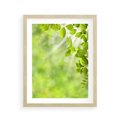 Plakat w ramie 40x50 - Zielone liście natury - liści, zieleń - rama drewno