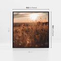 Obraz w ramie 50x50 - Zachwyt zachodem słońca na łące - zachód, słońca - rama czarna