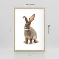 Plakat w ramie 50x70 - Delikatna Zwierzęca Uroda - królik, zwierzę - rama drewno