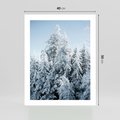 Plakat bez ramy 40x50 - Magia Śnieżnych Drzew - zima, iglaste drzewa