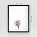 Plakat w ramie 40x50 - Suszona Roślina na Białym Tle - minimalizm, suszona roślina - rama czarna