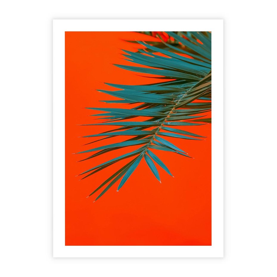 Plakat bez ramy 21x30 - Egzotyczny Urok - liście, palma
