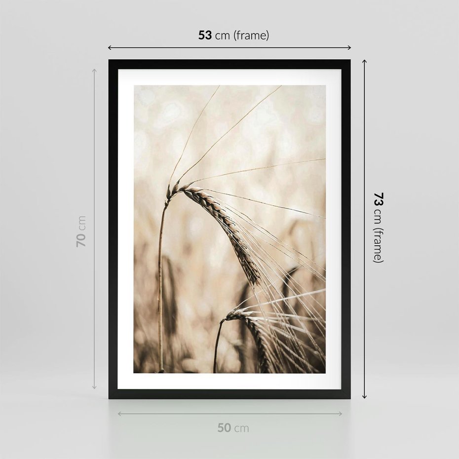 Plakat w ramie 50x70 - Źdźbło Pszenicy: Blisko Natury - źdźbło pszenicy, pszenica - rama czarna