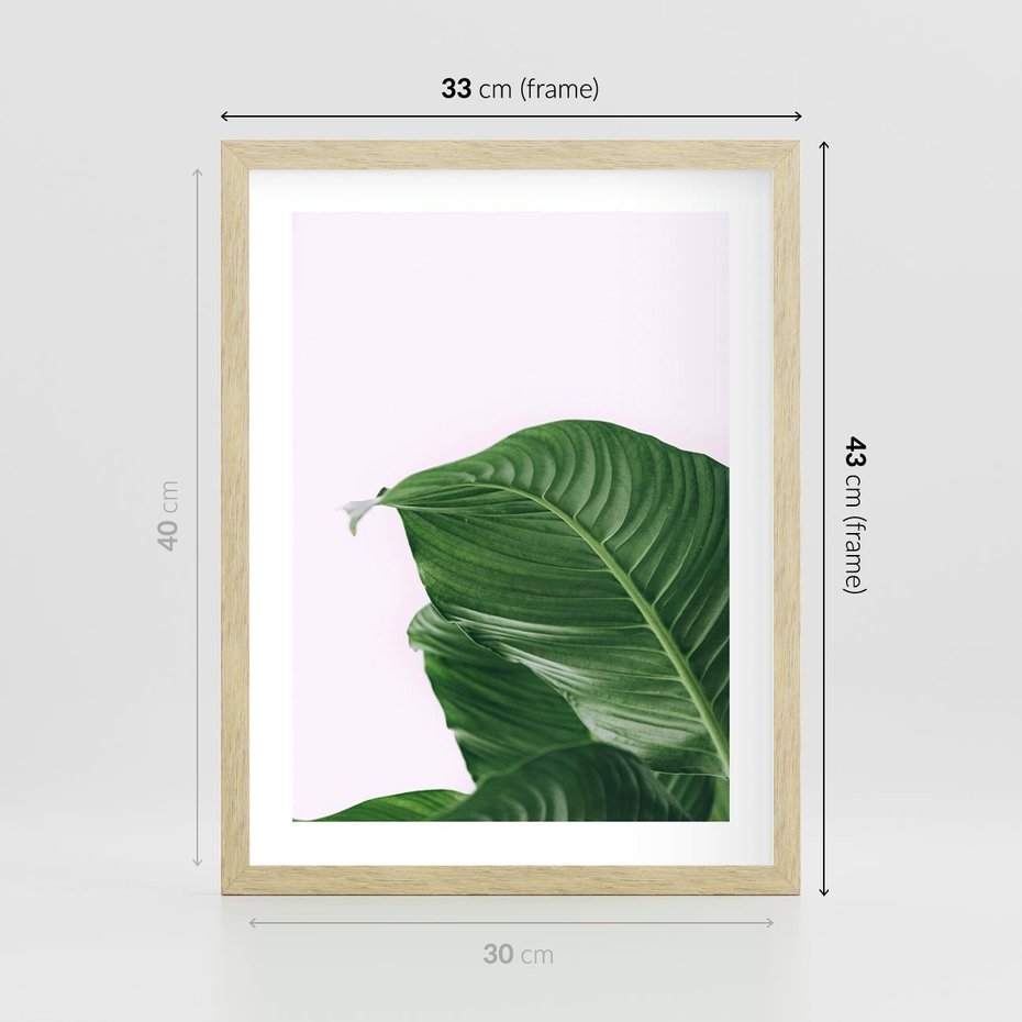 Plakat w ramie 30x40 - Zielone liście monstery - liście, monstera - rama drewno