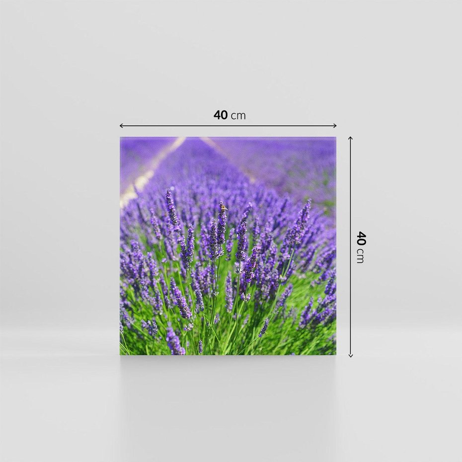 Obraz na płótnie 40x40 - Lawendowe pola piękno natury - lawenda, kwiaty