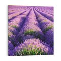 Obraz na płótnie 50x50 - Malownicze Pole Lawendy - lawenda, pole