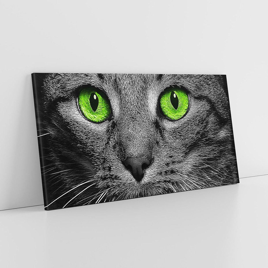 Obraz na płótnie 140x70 - Przestreń nautra doznania - kot, kotek