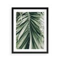 Plakat w ramie 40x50 - Spokojna Piękność Palmowych Liści - palma, liście palmy - rama czarna