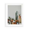 Plakat w ramie 50x70 - Naturalna Harmonia - kaktusy, liście - rama biała