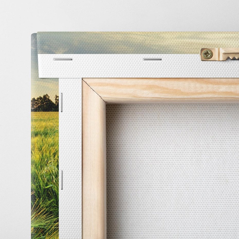 Obraz na płótnie 70x70 - Idylliczna łąka - łąka, natura