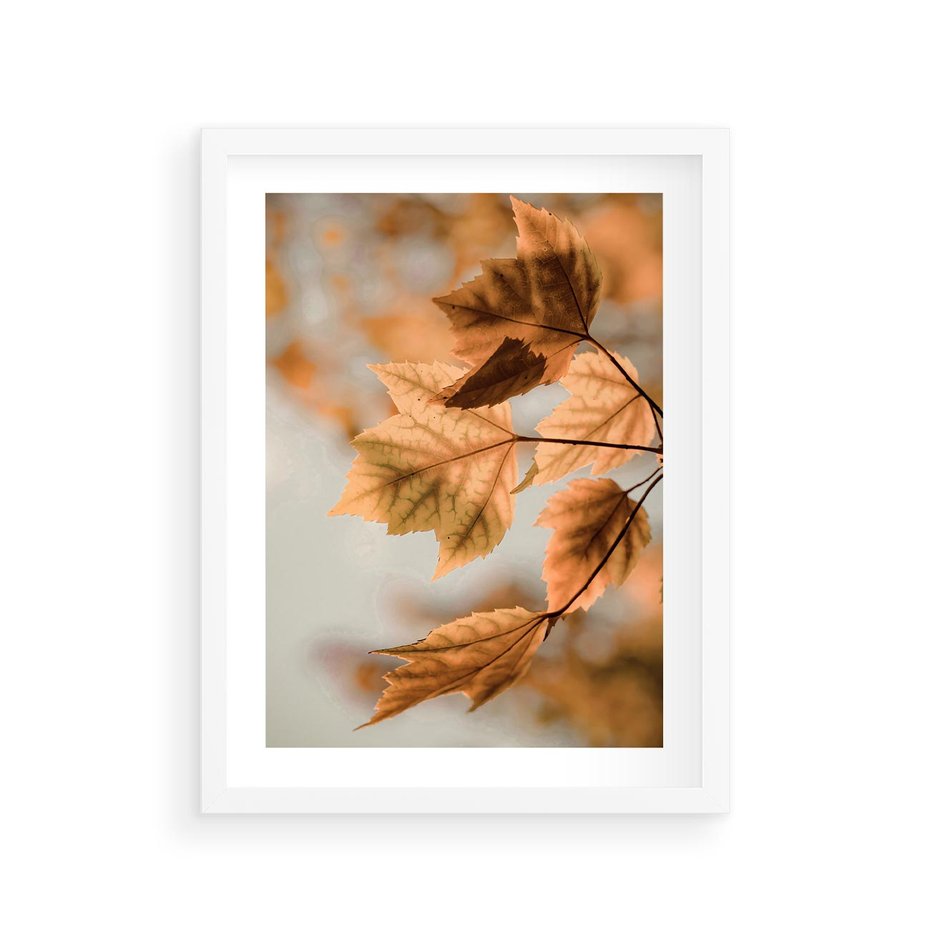 Plakat w ramie 30x40 - Magia Jesieni - liście, jesień - rama biała