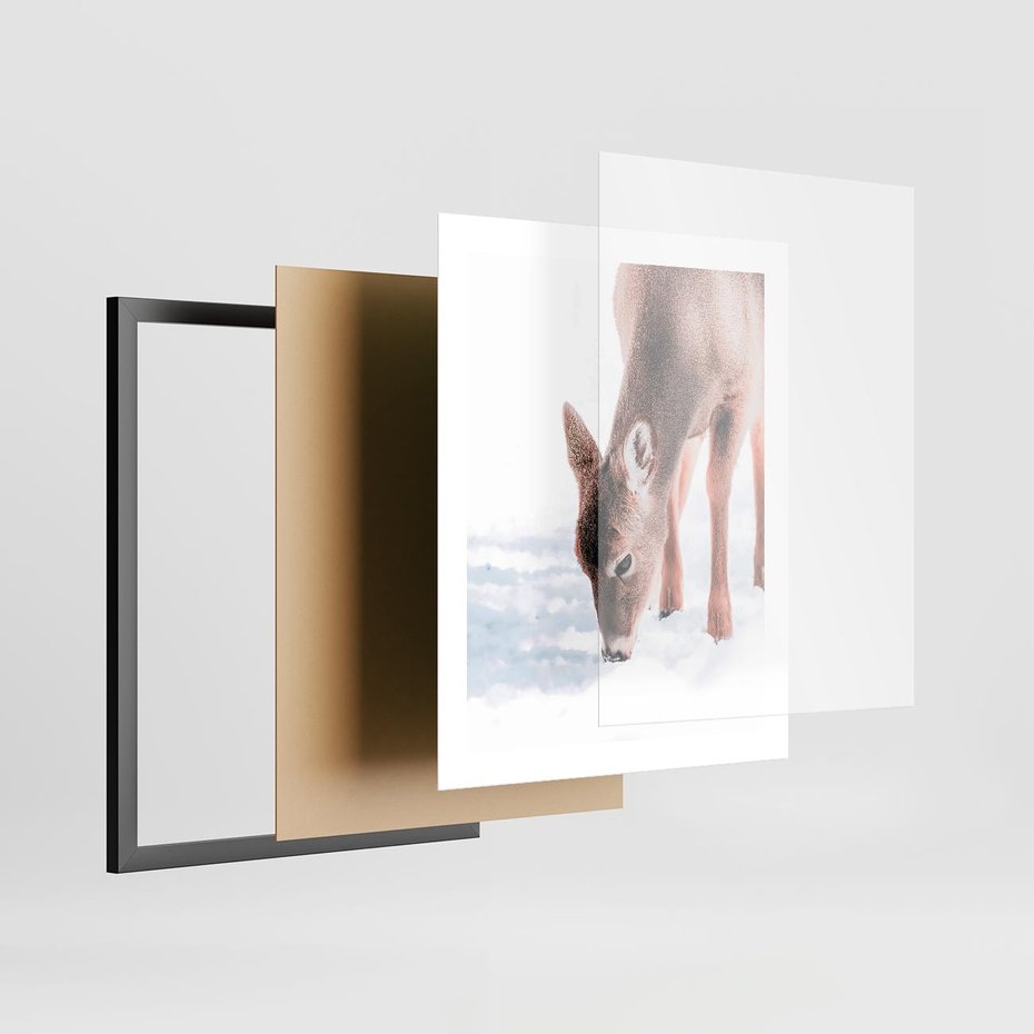 Plakat w ramie 40x50 - Sarna w Zimowym Raju - sarna, na śniegu - rama czarna