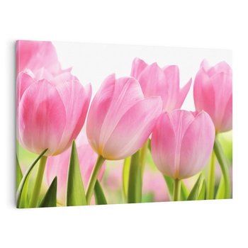 Obraz na płótnie 100x70 - Kwiaty w pełnym rozkwicie - kwiat, Kwiaty