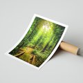 Plakat bez ramy 30x40 - Współistnienie z naturą - drzewa, las