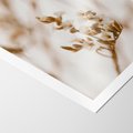 Plakat bez ramy 21x30 - Kwiatowa suchość - kwiaty, susz