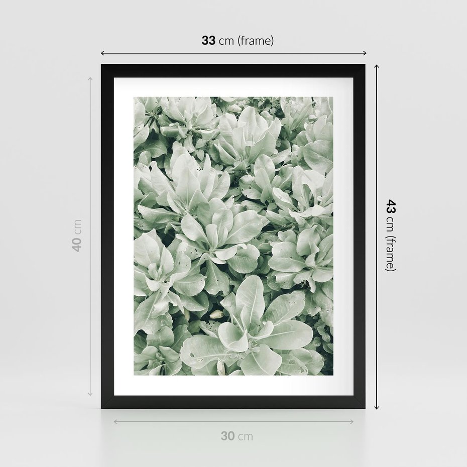 Plakat w ramie 30x40 - Liście w Jasnych Odcieniach Zielonego - liście, jasna zieleń fotografia - rama czarna