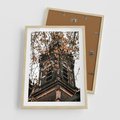 Plakat w ramie 50x70 - Jesienna Wieża w Liściach - architektura, wieża - rama drewno