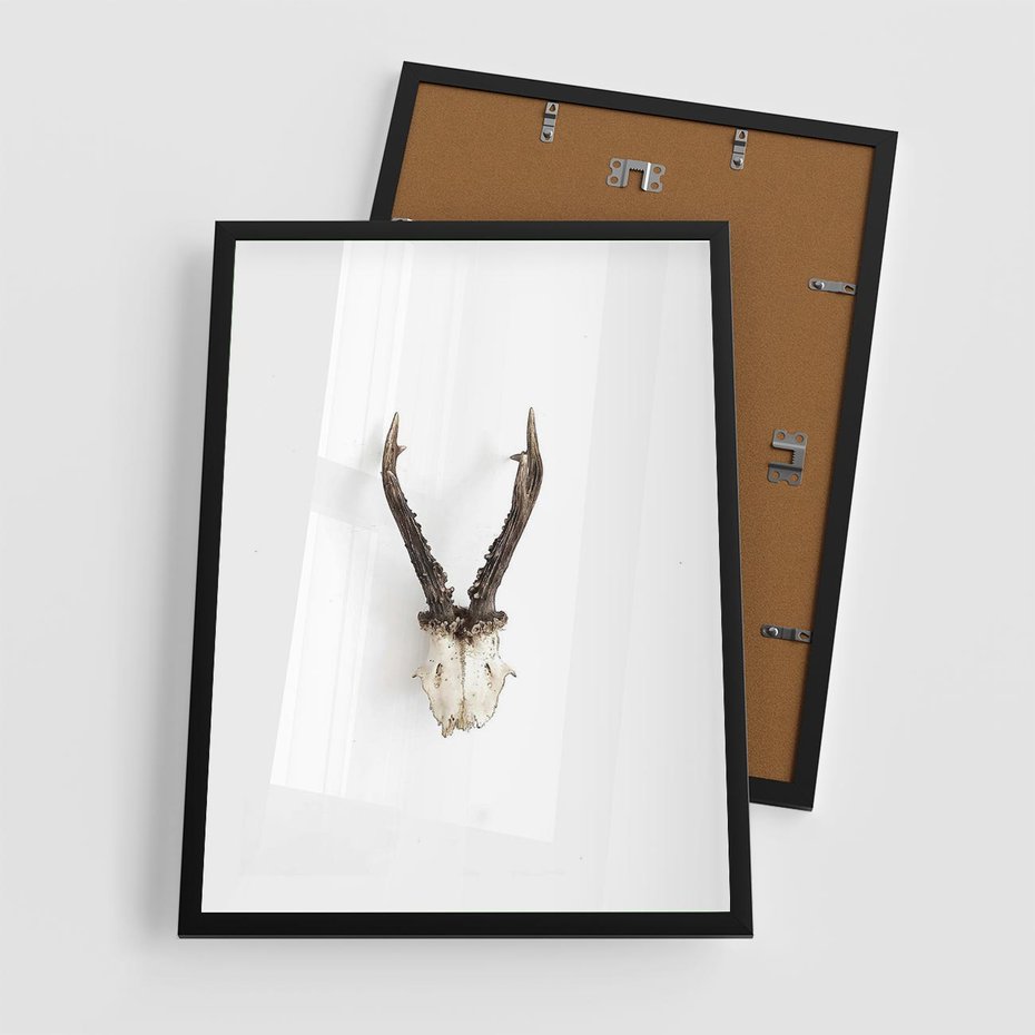 Plakat w ramie 50x70 - Minimalistyczne Poroże Jelenia - poroże jelenia na ścianie, minimalizm - rama czarna