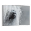 Obraz w ramie 70x50 - Oko Mocy - czarno białe zdjęcie, zbliżenie makro na oko konia - rama biała