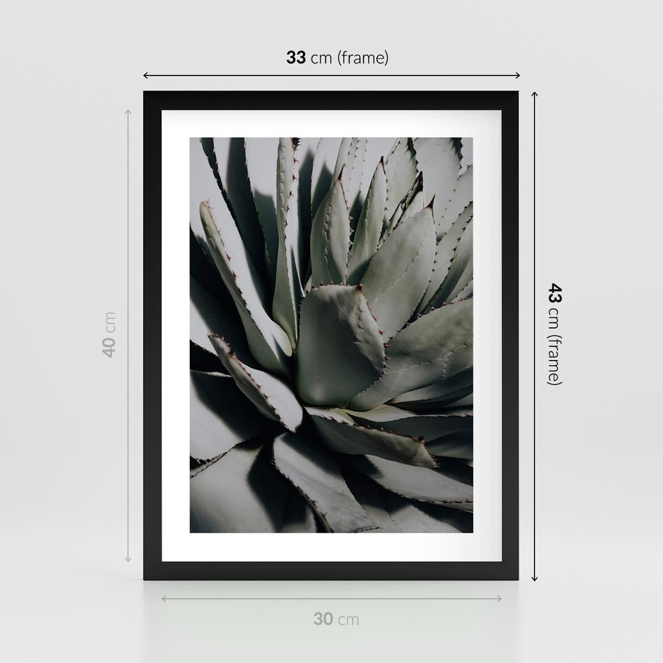 Plakat w ramie 30x40 - Egzotyczny Raj - sukulenty, kaktusy - rama czarna