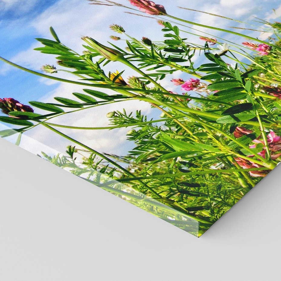 Obraz na płótnie 140x70 - Niebiańska łąka pełna kwiatów - łąka, niebo