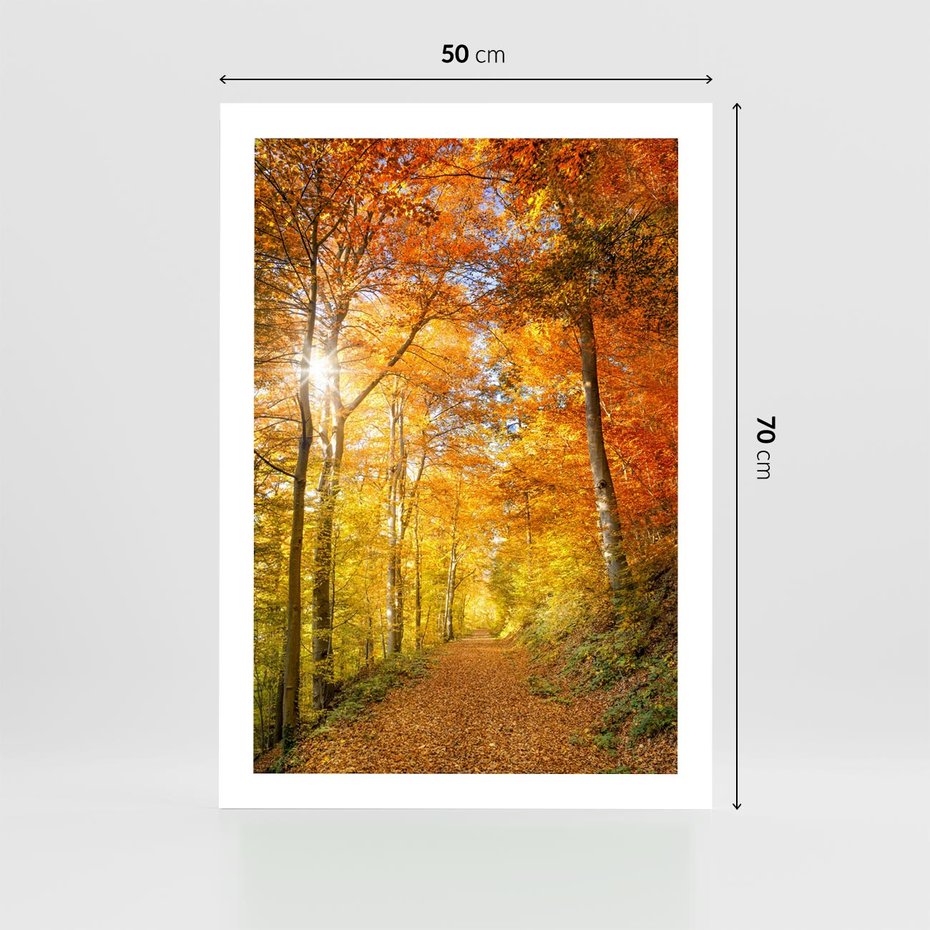 Plakat bez ramy 50x70 - Złote barwy jesiennego lasu - las, jesień