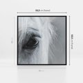 Obraz w ramie 50x50 - Oko Mocy - czarno białe zdjęcie, zbliżenie makro na oko konia - rama czarna