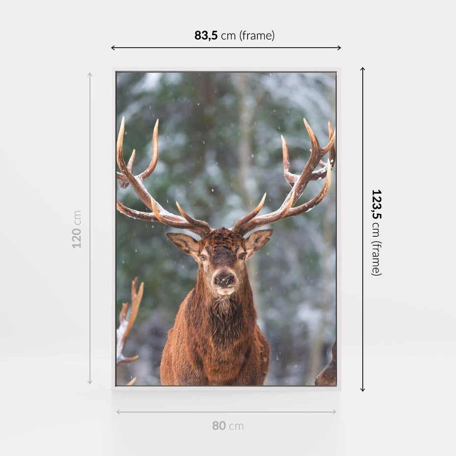 Obraz w ramie 80x120 - Monarcha Zimowej Dziczy - jeleń, zima - rama biała