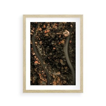 Plakat w ramie 50x70 - Las i Droga w Kolorach Jesieni - droga, ujęcie z góry - rama drewno