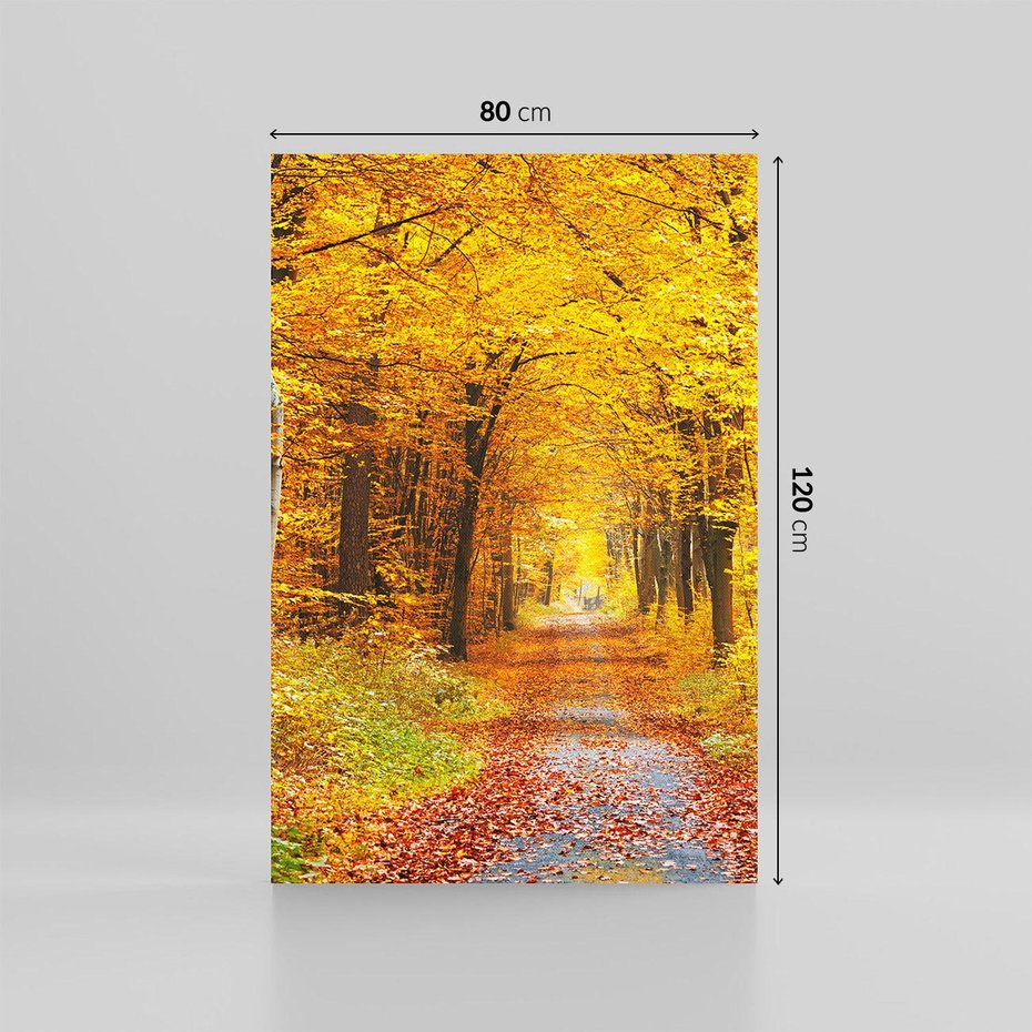 Obraz na płótnie 80x120 - Jesień w lesie - las, drzewa