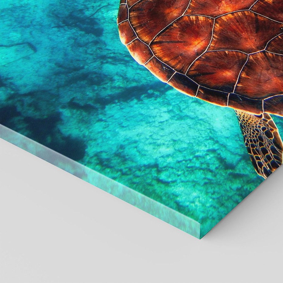 Obraz na płótnie 100x70 - Morze, fale i skały - żółw, morze
