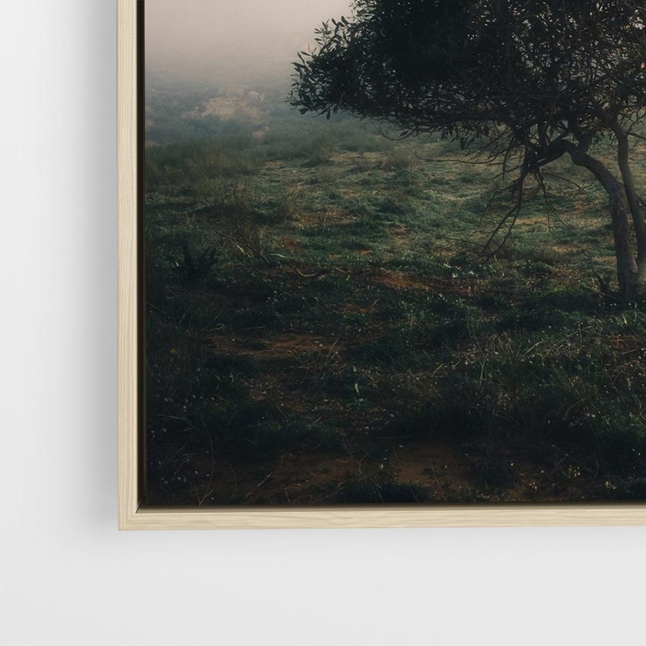Obraz w ramie 80x80 - Zamglona Prostota - artystyczna fotografia, samotne drzewo na zamglonej łące - rama drewno