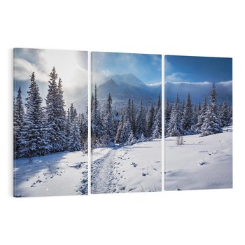 Obraz na płótnie 120x80 - Zimowe góry w lesie - góry, zima