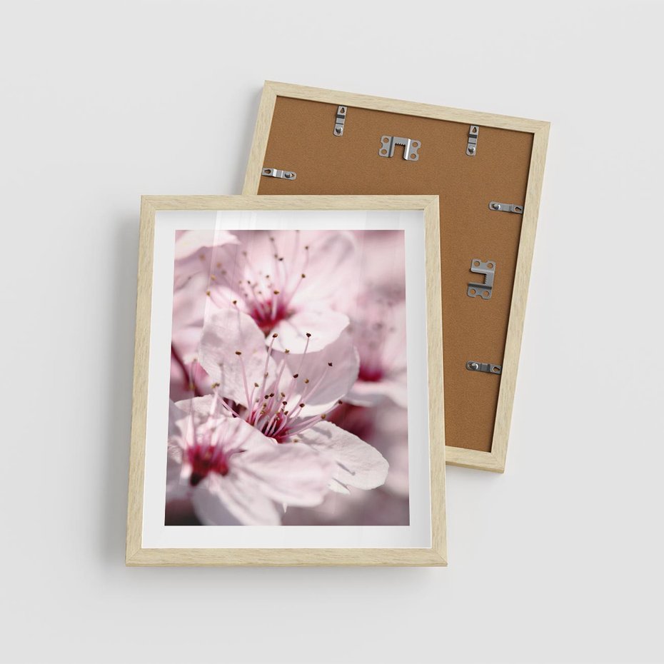 Plakat w ramie 40x50 - Kwitnąca Wiśnia - kwiaty, kwitnąca - rama drewno