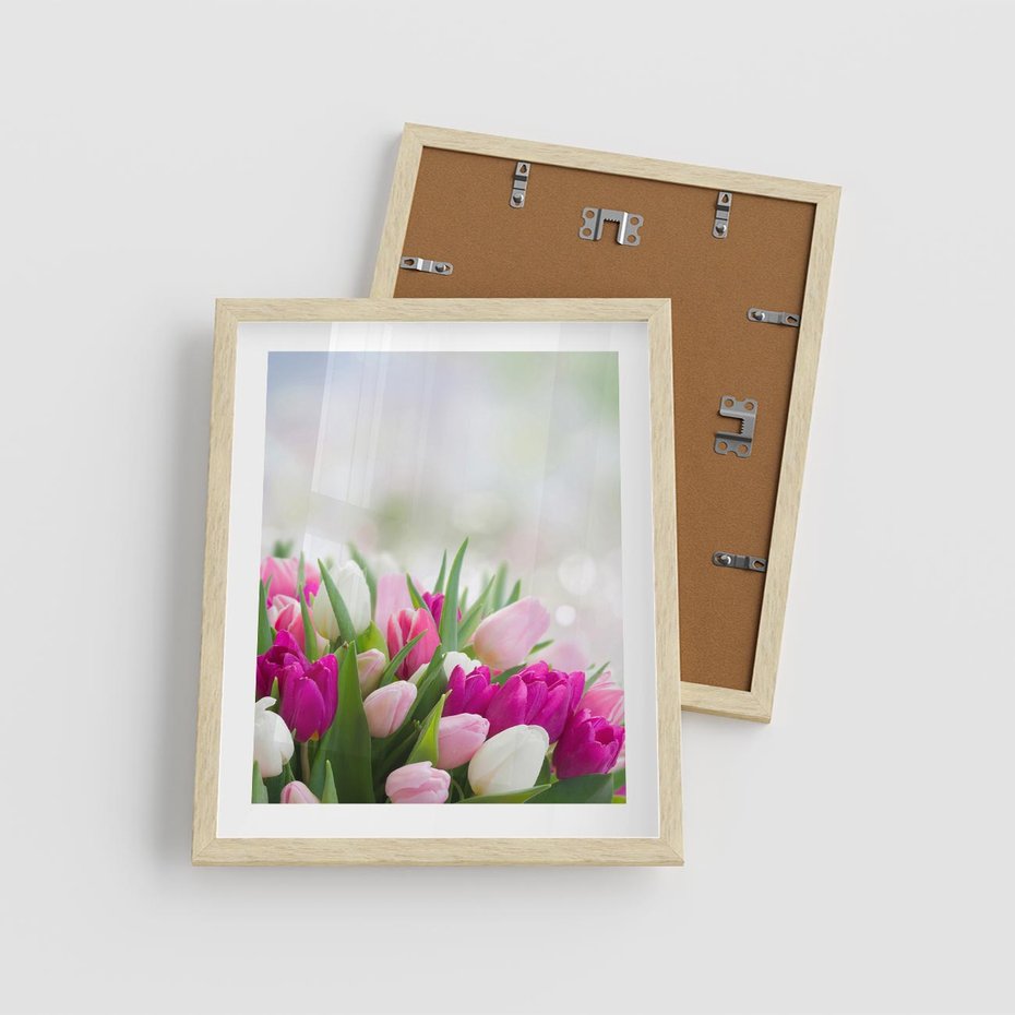 Plakat w ramie 40x50 - Tulipany w pełnym rozkwicie - tulipany, kwiaty - rama drewno