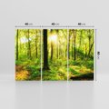 Obraz na płótnie 120x80 - Mistyfikujący las - las, drzewa