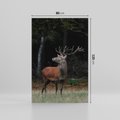 Obraz na płótnie 80x120 - Spotkanie z naturą - jeleń, las