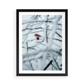 Plakat w ramie 50x70 - Zima w Detalu: Gałęzie ze Szronem i Śniegiem - śnieg, zima - rama czarna