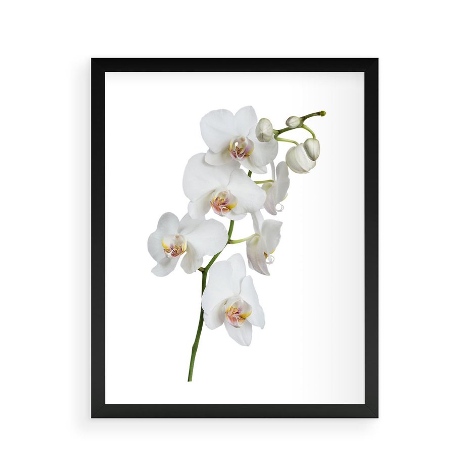 Plakat w ramie 40x50 - Ekskluzywny Relaks - storczyk, spa - rama czarna